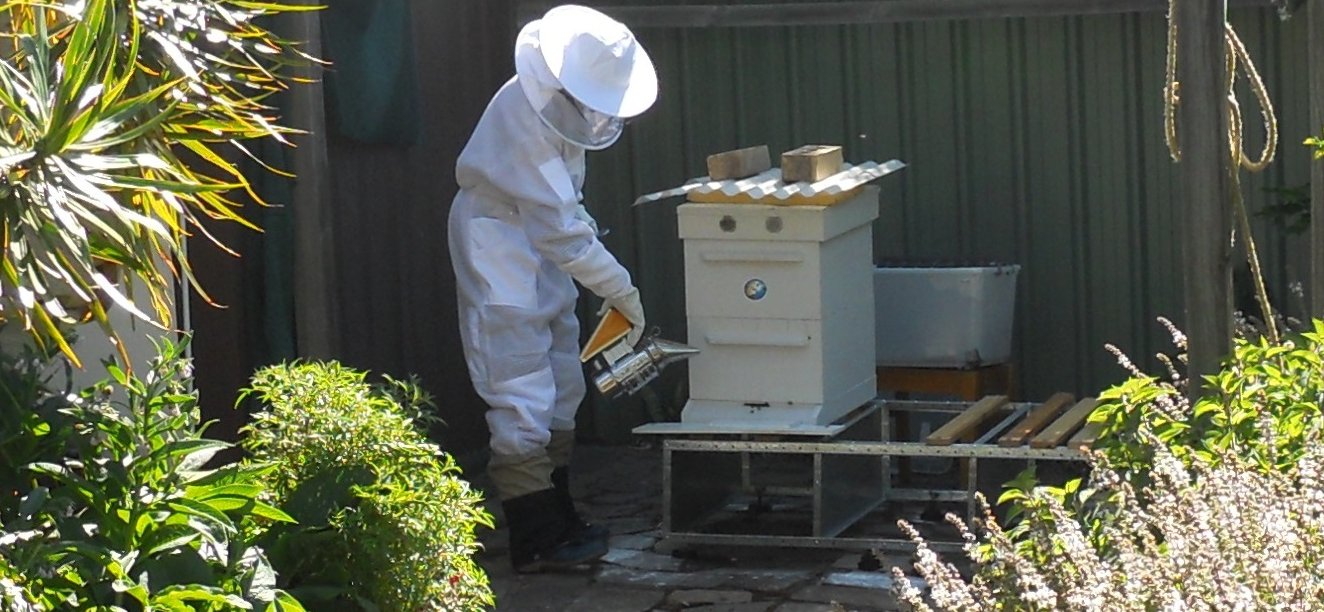 Honey Skyezone Apiary