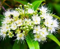 Gift - Zest Hand & Body Pack