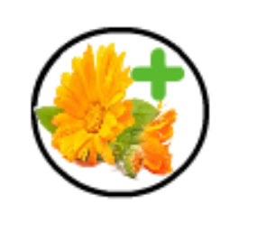 Scar Healing Balm - Tattoos, Burns, Wounds