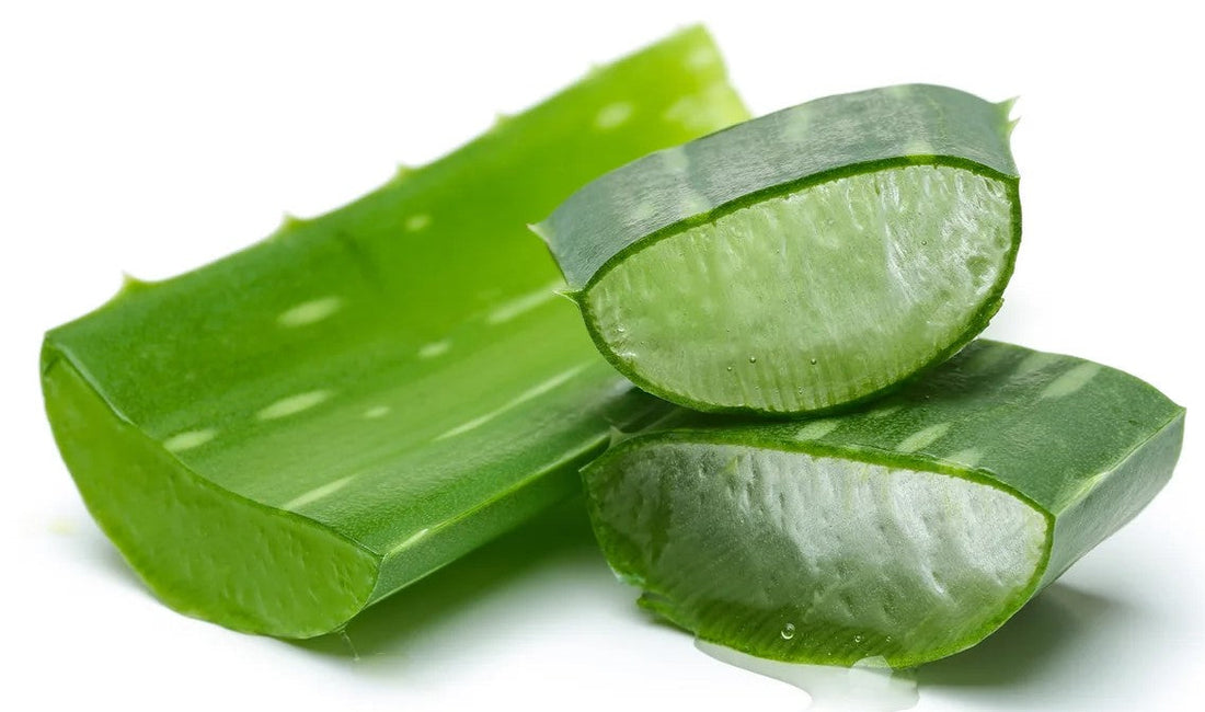 How to Extract Aloe Vera Gel for Burns