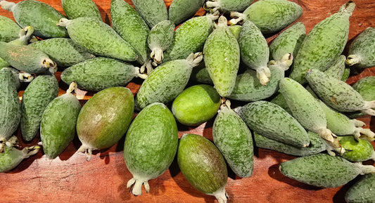 Feijoa Fruit for Nutrition & Skincare