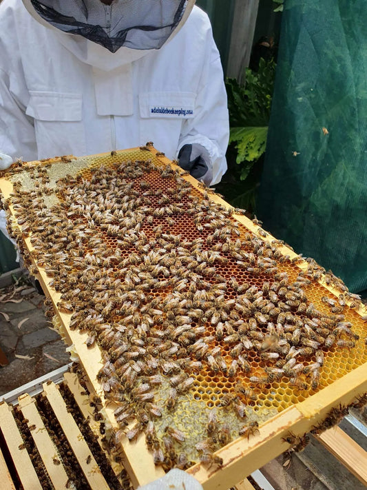 Honey Skyezone Apiary