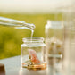 Diffuser Oils - Aromatherapy