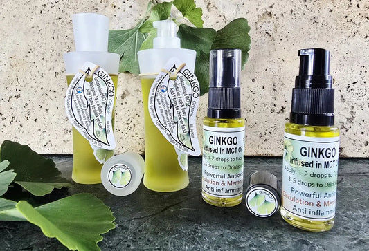 Ginkgo Biloba Infused Oil