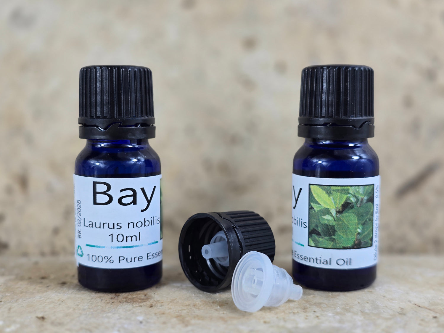 Bay Essential Oil