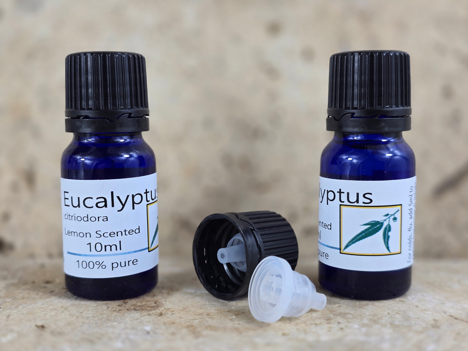 Eucalyptus Citriodora Essential Oil