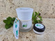 Face Scrub - Lime & Fennel