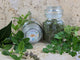 Cooking Herbs