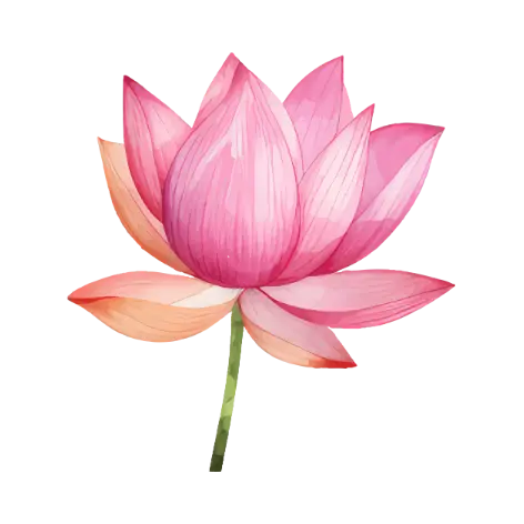 Solid Perfume Lotus