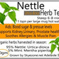 Tea: Nettle