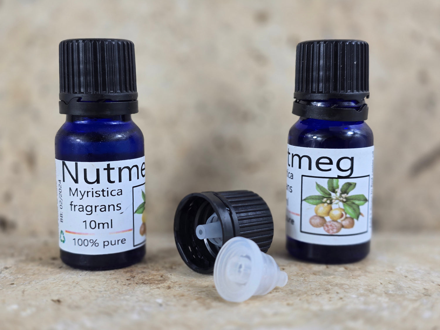 Nutmeg Essential Oil
