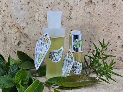 Body Oil: Spring Step