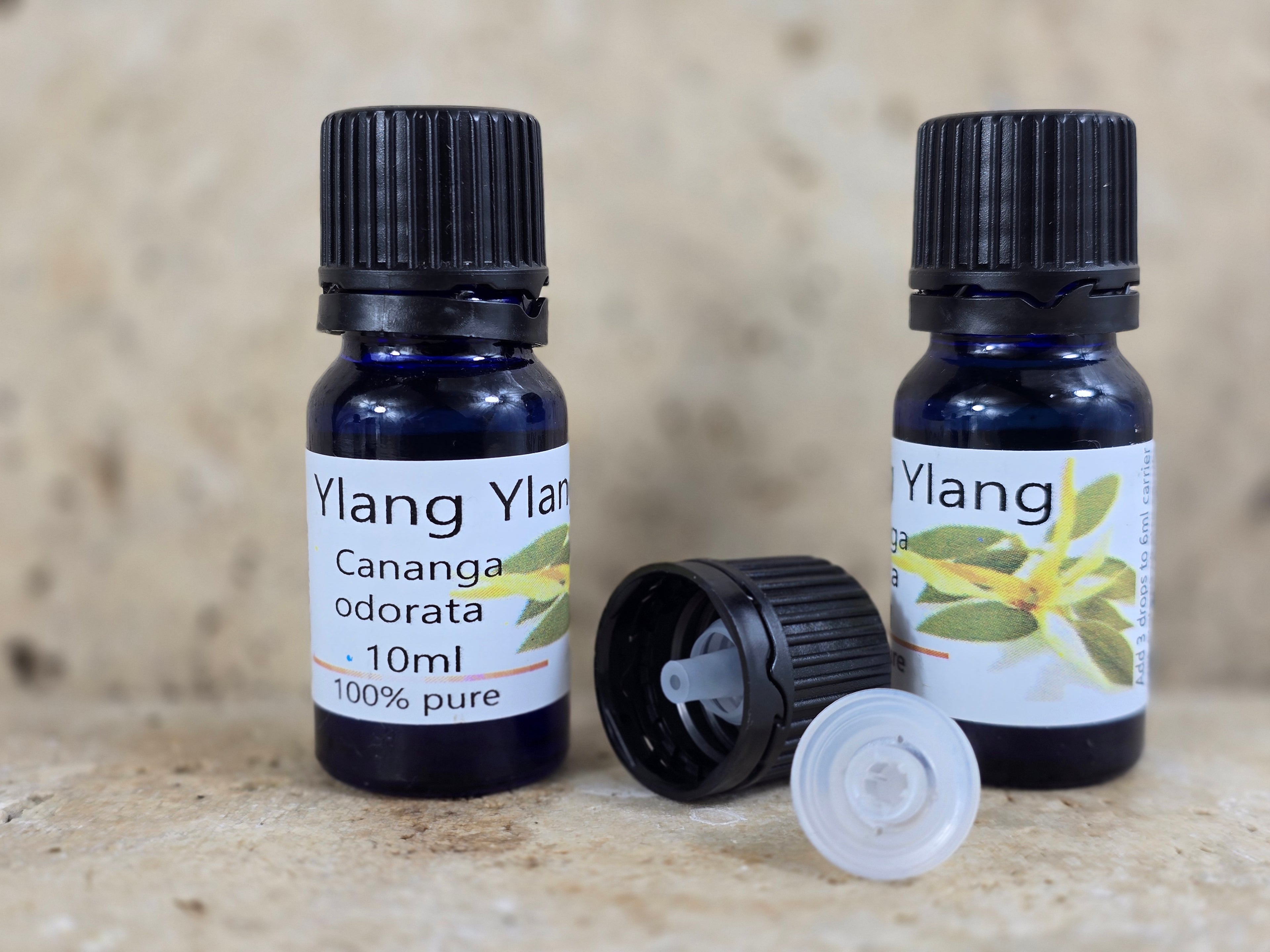 Ylang Ylang Essential Oil
