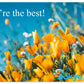 Skyezone Gift Card