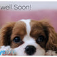 Skyezone Gift Card